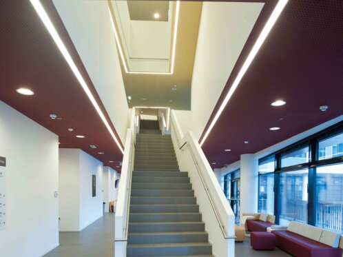 University of Economics