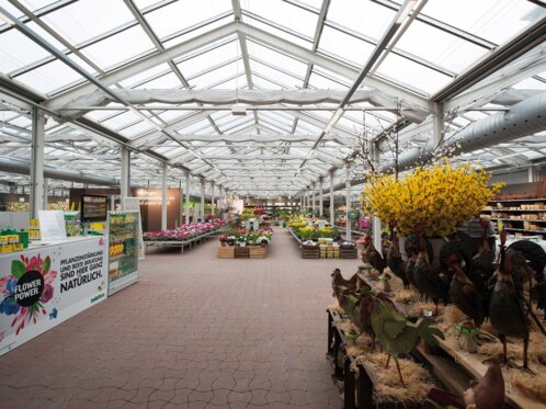 BELLAFLORA - Filiale